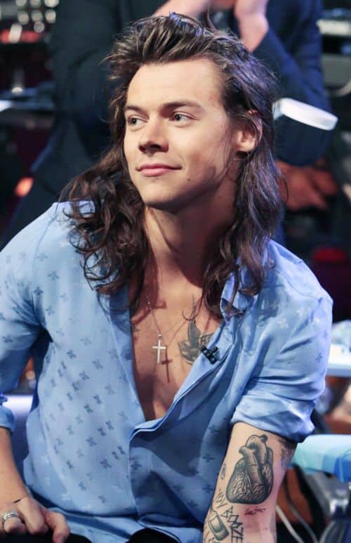 30 Male Singers with Long Hair: From Kurt Cobain to Harry Styles
